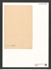 Dimerogramma minor (Greg.) Ralfs. (de-Toni-Nr.: Genus 80, Species 2876) Zeichnungen Sammlung Grunow (NHMW-BOT-W0374266)